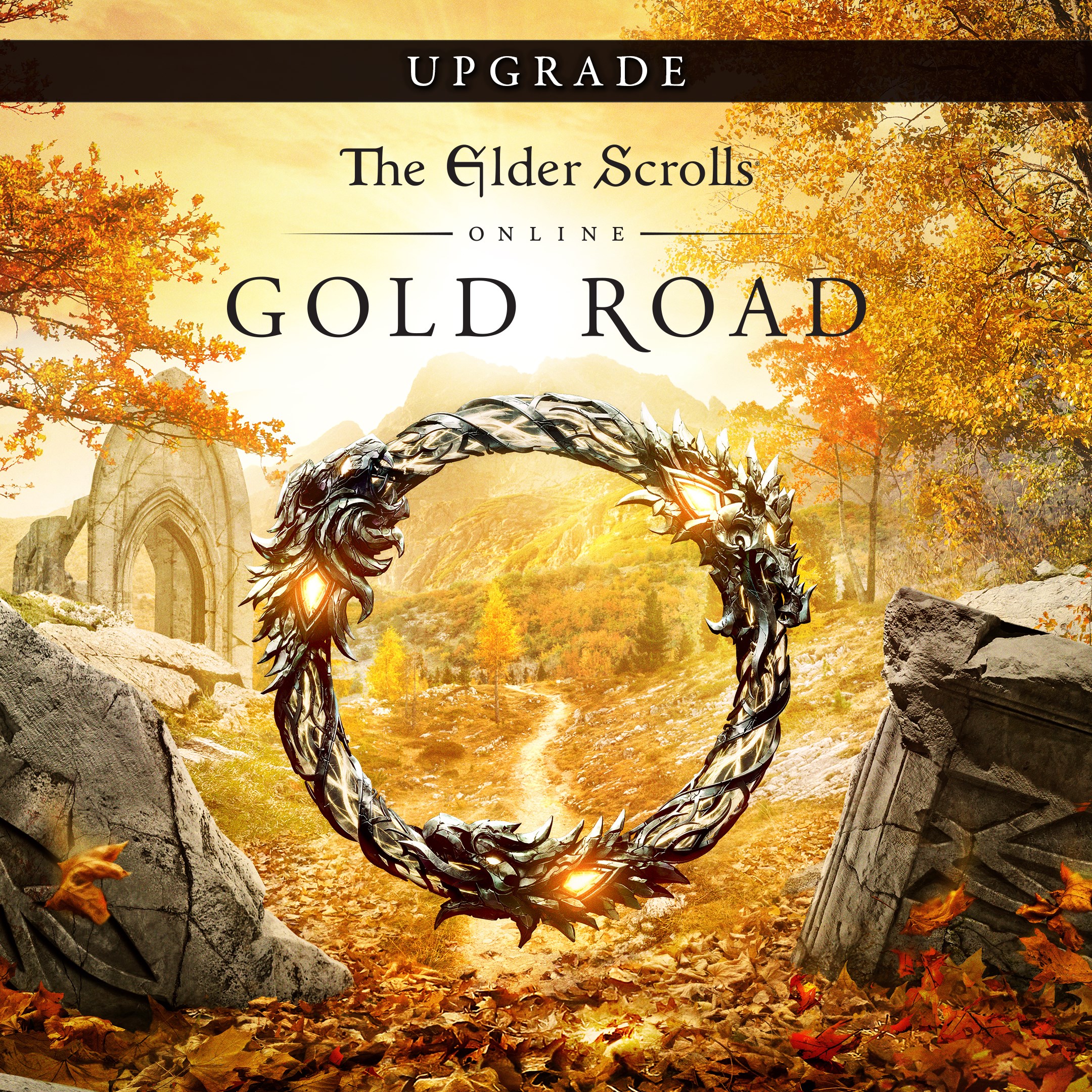 Купить игру The Elder Scrolls Online Upgrade: Gold Road для Xbox за 3880 на  Korobok.Store - Korobok.store