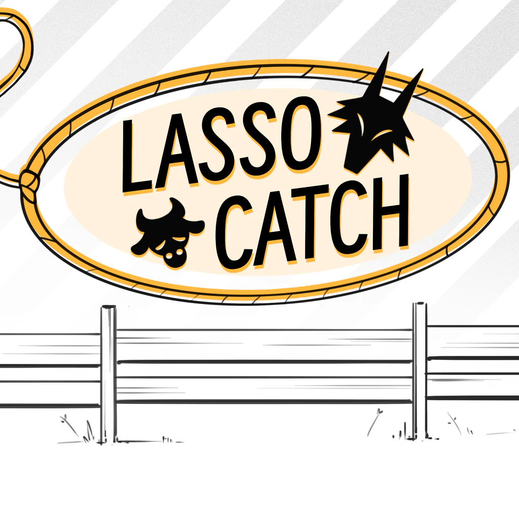 LASSO CATCH - Korobok.store