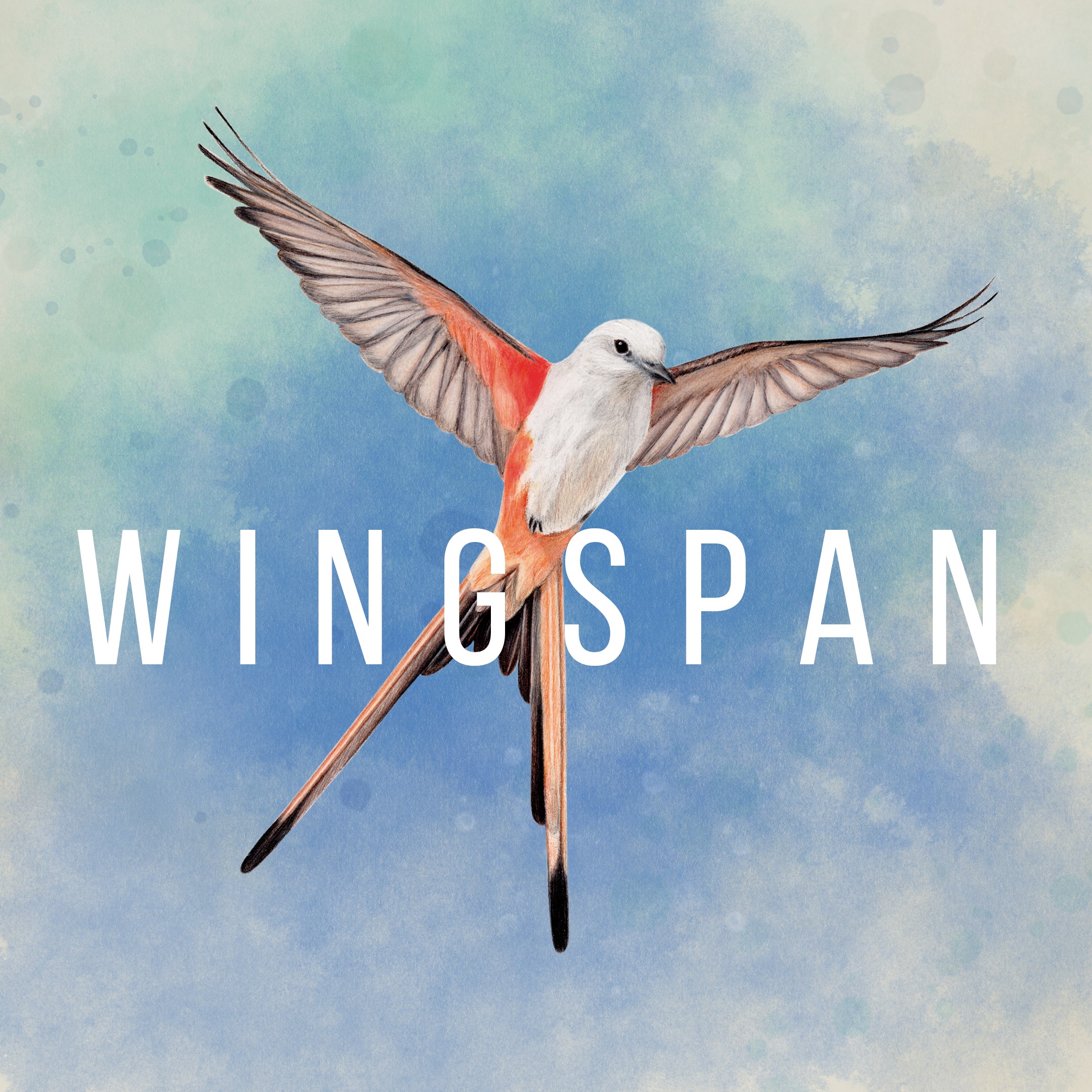 Купить игру WINGSPAN (КРЫЛЬЯ) для Xbox за 945 на Korobok.Store -  Korobok.store