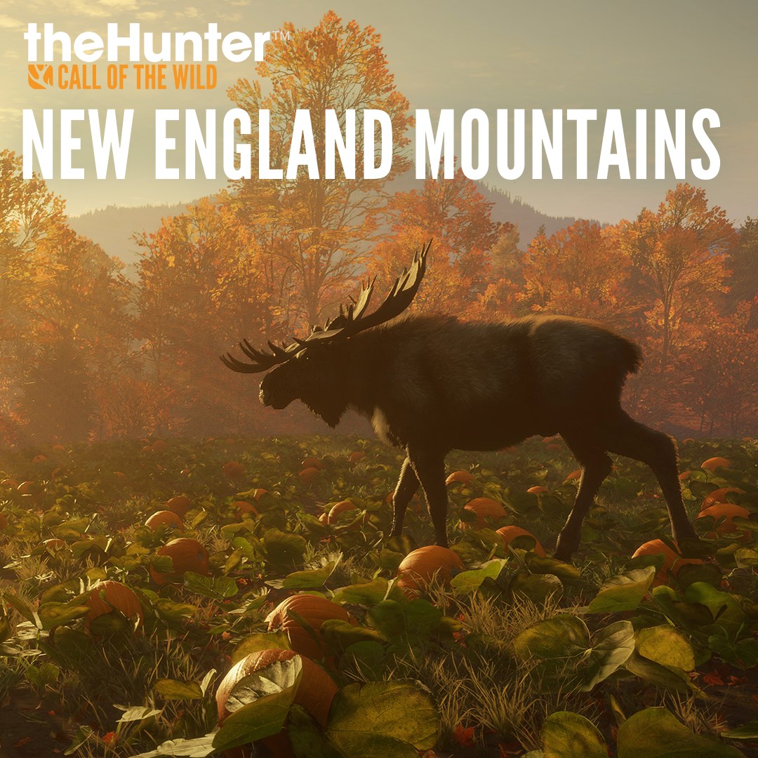 Купить игру theHunter: Call of the Wild™ - New England Mountains для Xbox  за 217 на Korobok.Store - Korobok.store