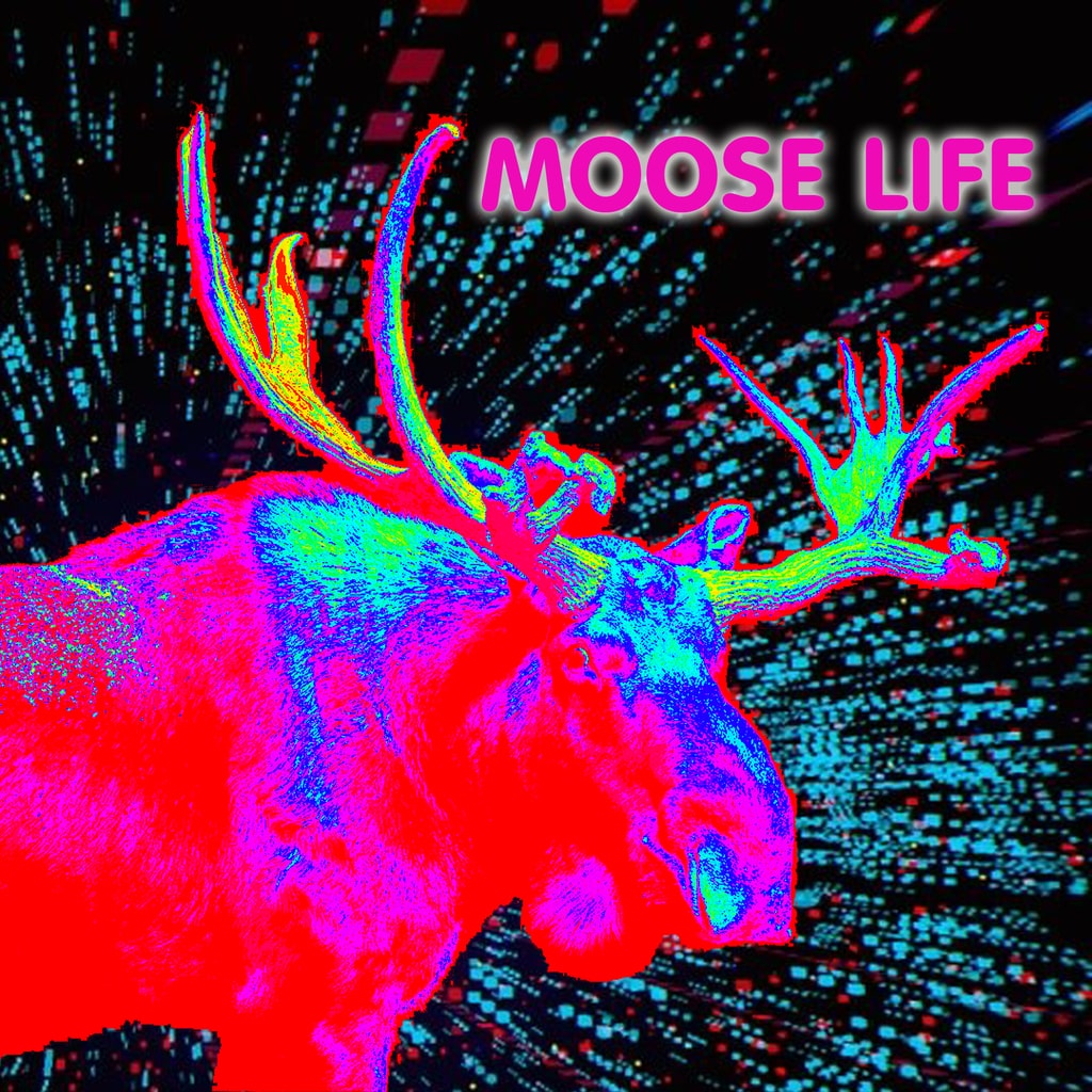 Moose Life - Korobok.store