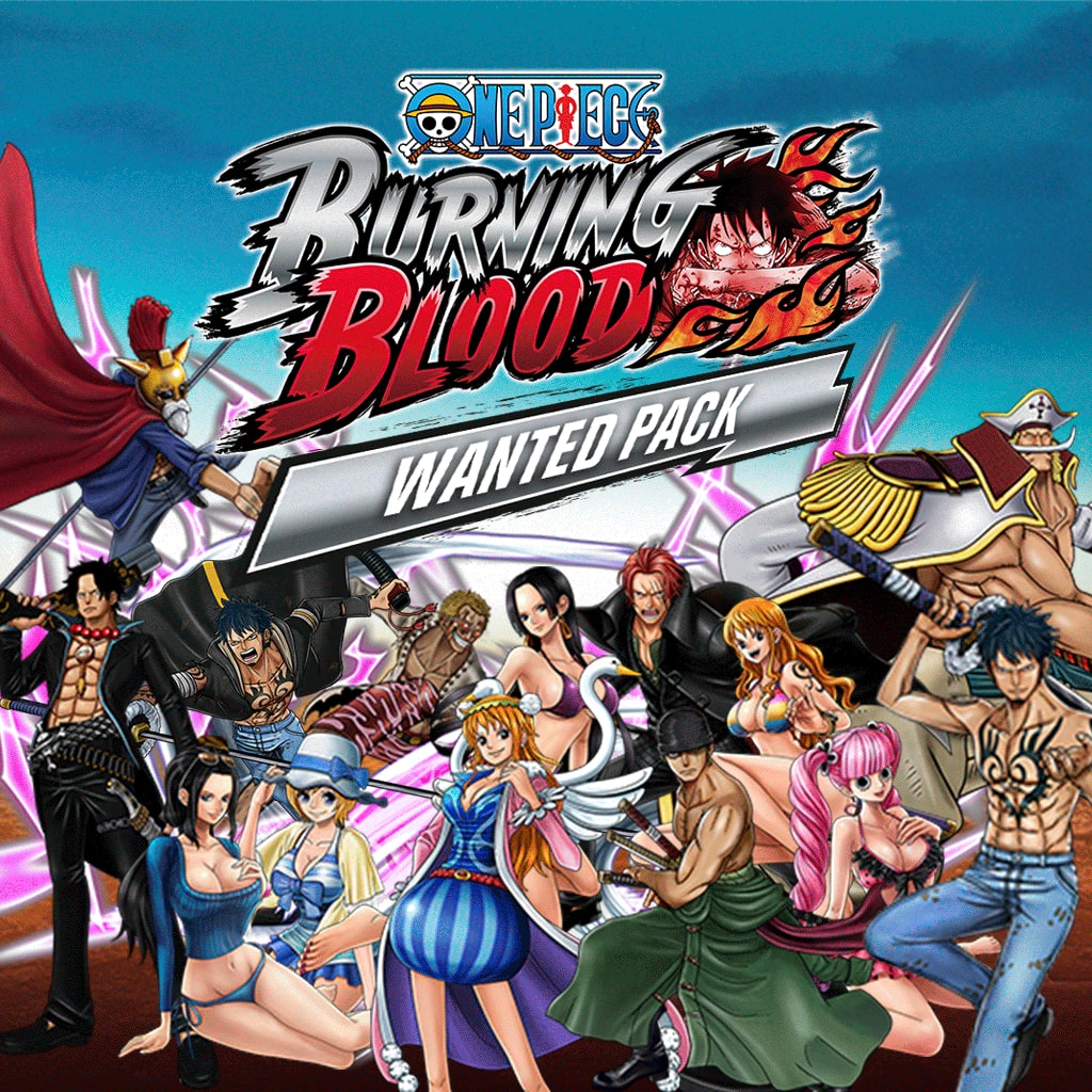 One Piece Burning Blood - WANTED PACK - Korobok.store