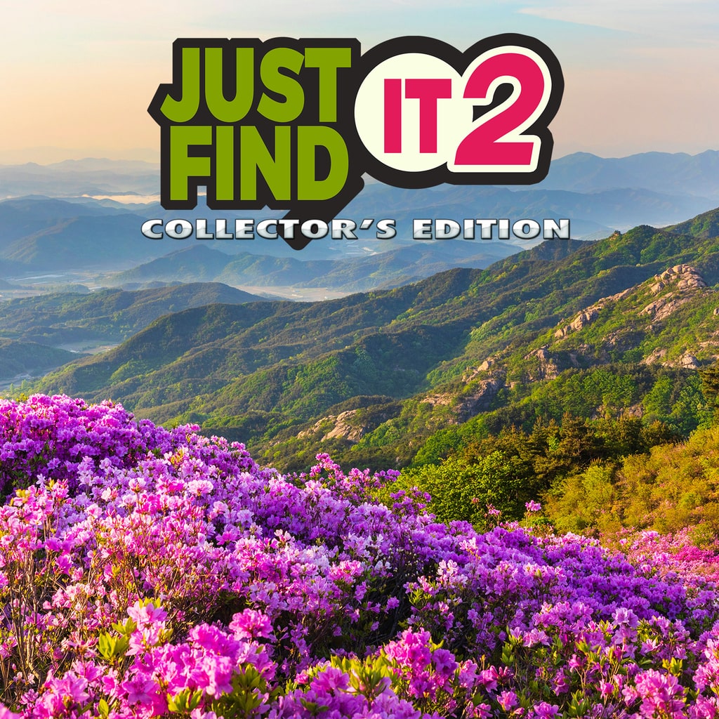 Just Find It 2 Collectors Edition - Korobok.store