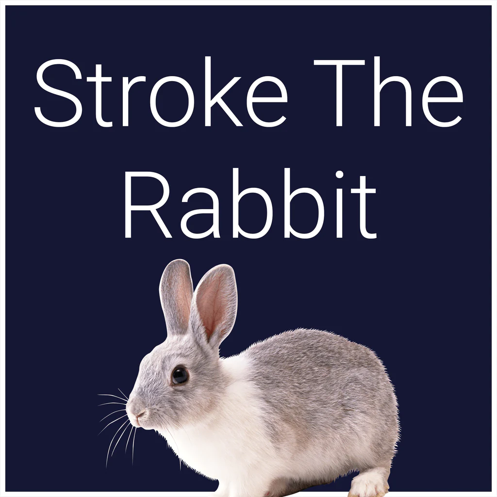 Stroke The Rabbit - Korobok.store