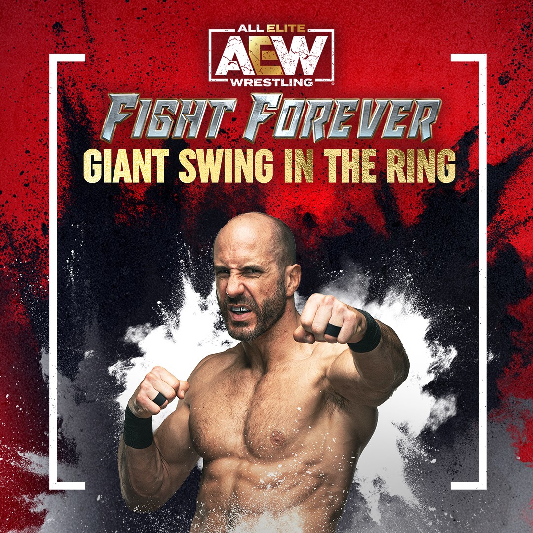 Купить игру AEW: Fight Forever - Giant Swing in the Ring для Xbox за 832 на  Korobok.Store - Korobok.store