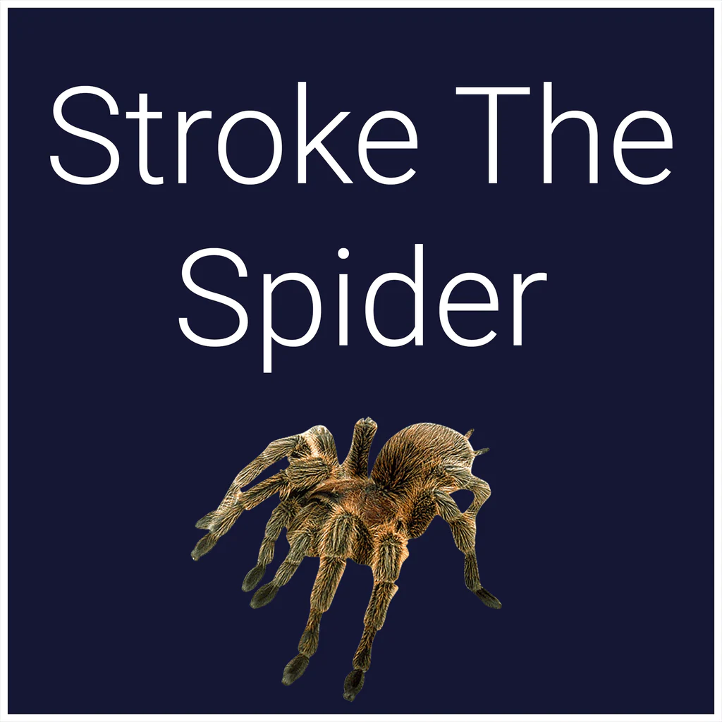 Stroke The Spider - Korobok.store