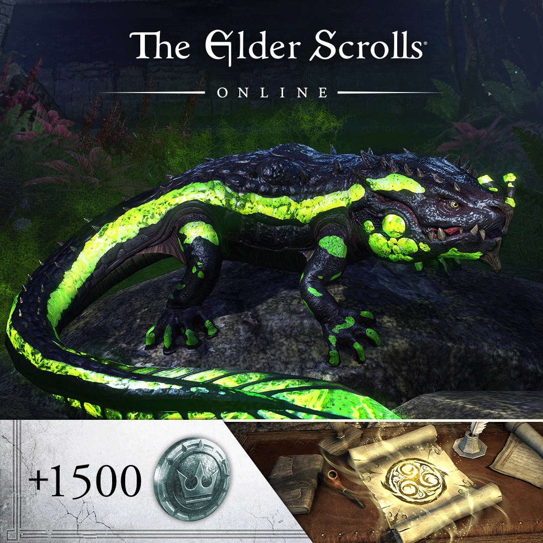 Купить игру The Elder Scrolls Online: Newcomer Pack для Xbox за 503 на  Korobok.Store - Korobok.store