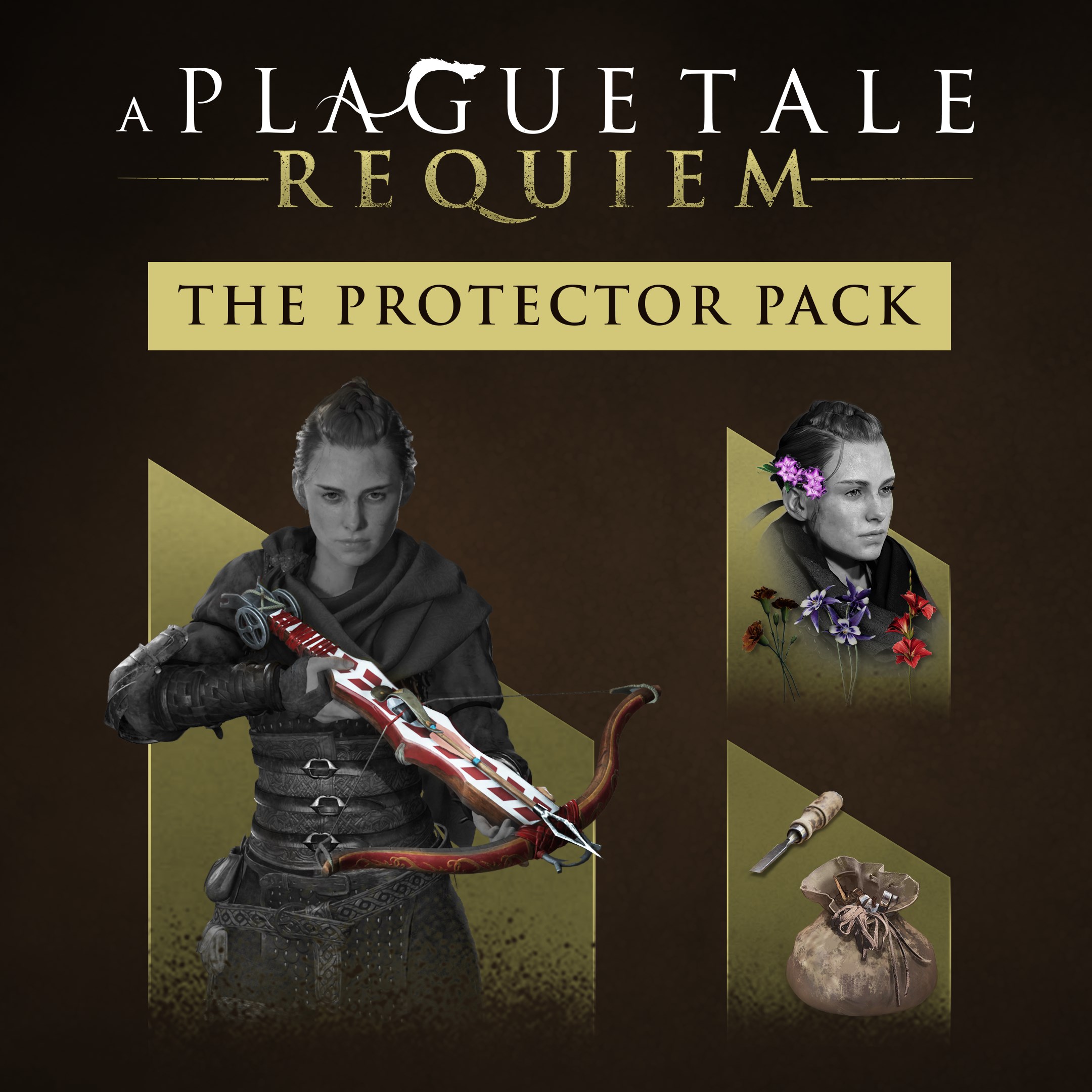 Купить игру A Plague Tale: Requiem - Protector Pack для Xbox за 323 на  Korobok.Store - Korobok.store