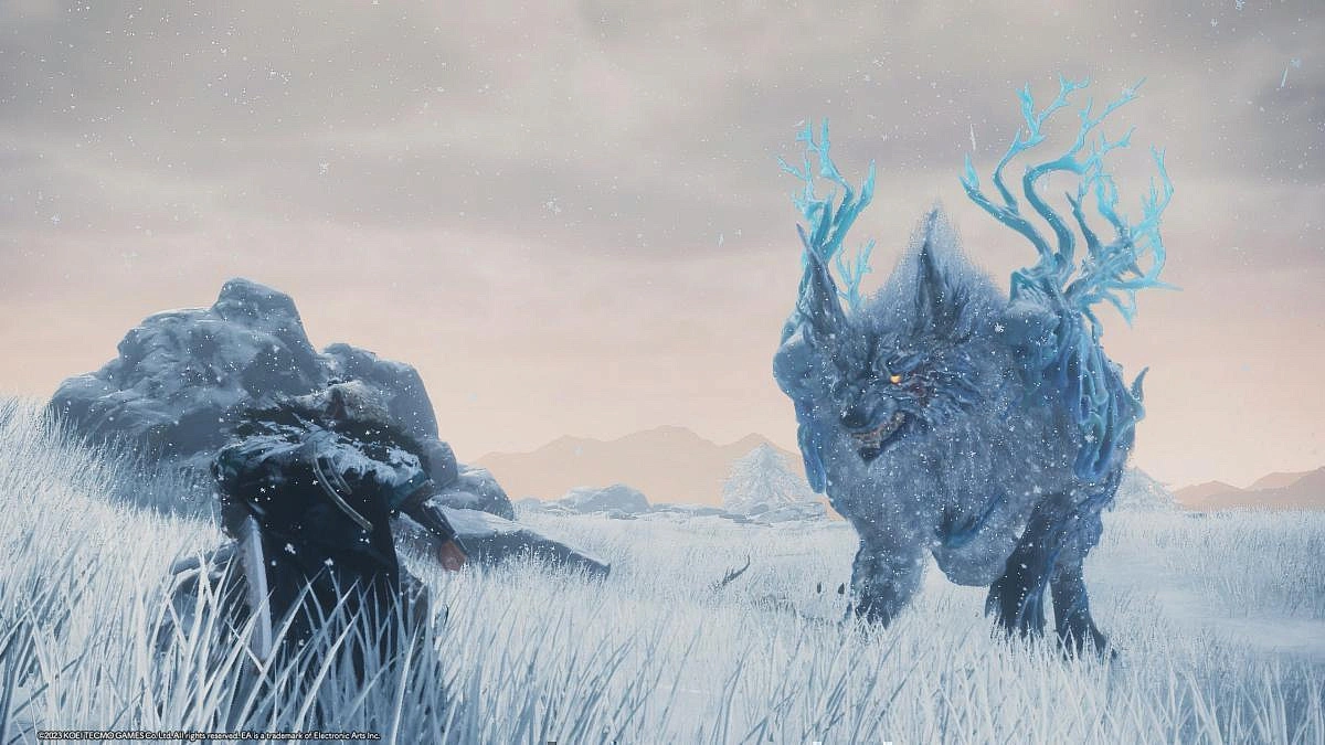 Охота на диких зверей: Превью Wild Hearts